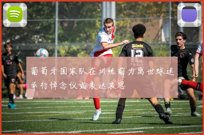 葡萄牙国家队在训练前为离世球迷举行悼念仪式表达哀思