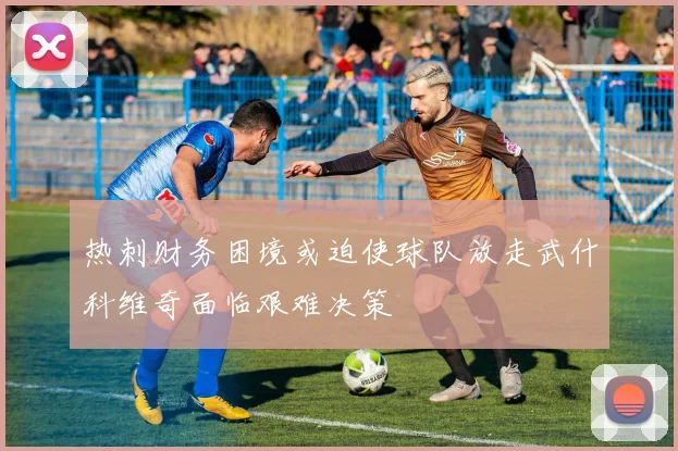 热刺财务困境或迫使球队放走武什科维奇面临艰难决策